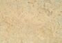 Marmoleum Ohmex 73038