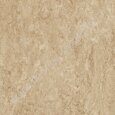 Marmoleum Modular t2707 barley 50 cm x 50 cm
