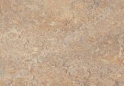 Marmoleum Vivace 3407. Forbo. Натуральный линолеум.