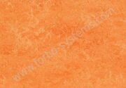 Marmoleum Real 3241. Натуральный линолеум Forbo.