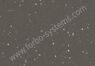 Surestep Star 176952 mercury
