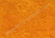 Marmoleum Real 3125. Натуральный линолеум Forbo.
