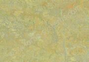 Marmoleum Vivace 3413. Forbo. Натуральный линолеум.