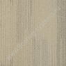Tessera Contour 1903 white spruce